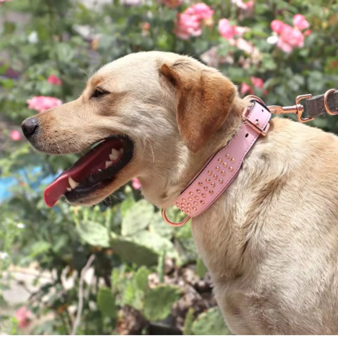 Brooklyn Halsband | Roze