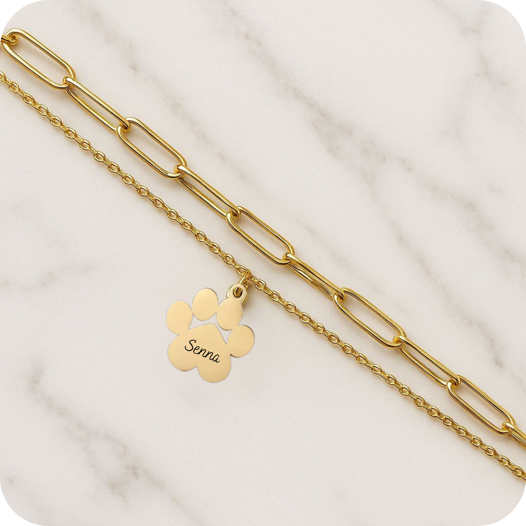 Armband | PawName