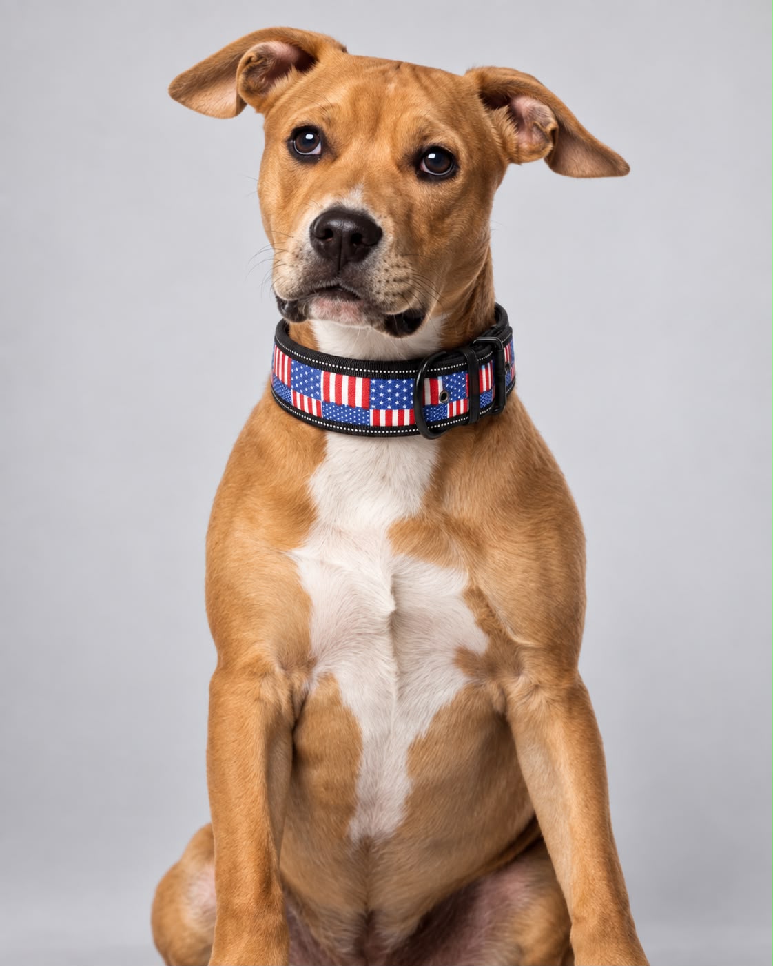American Dream Halsband