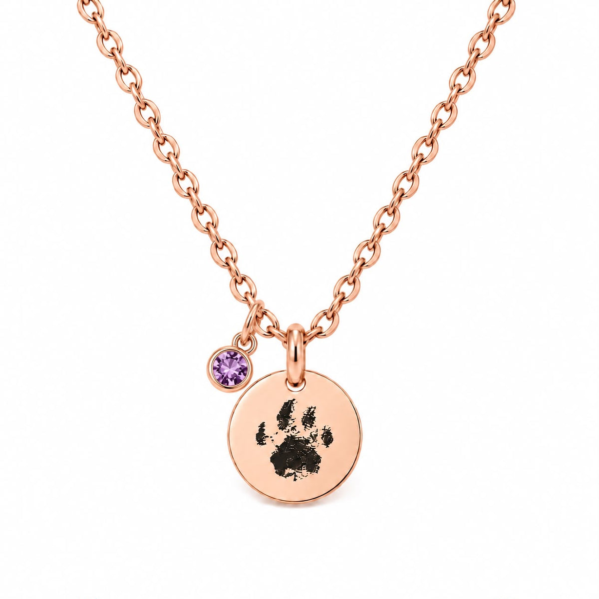 PawPrint Ketting | Rond