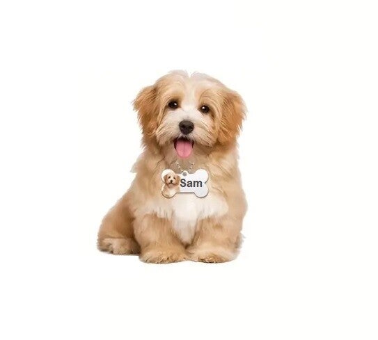 Botje met foto