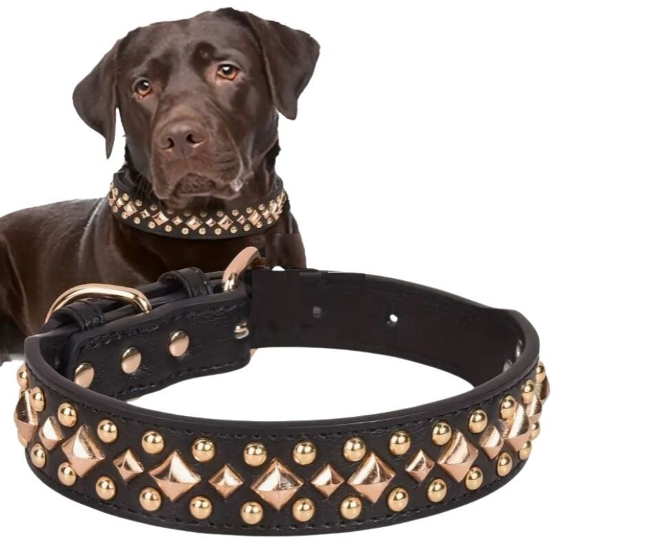 Halsband Studs zwart