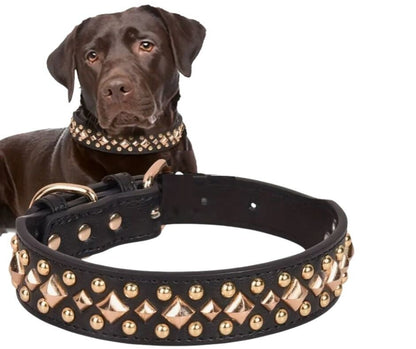 Halsband Studs zwart