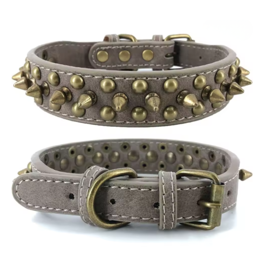 Halsband Studs | Premium