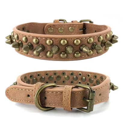 Halsband Studs | Premium