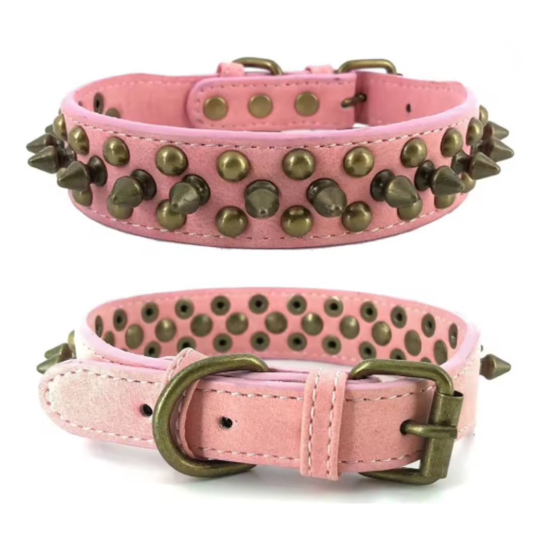 Halsband Studs | Premium