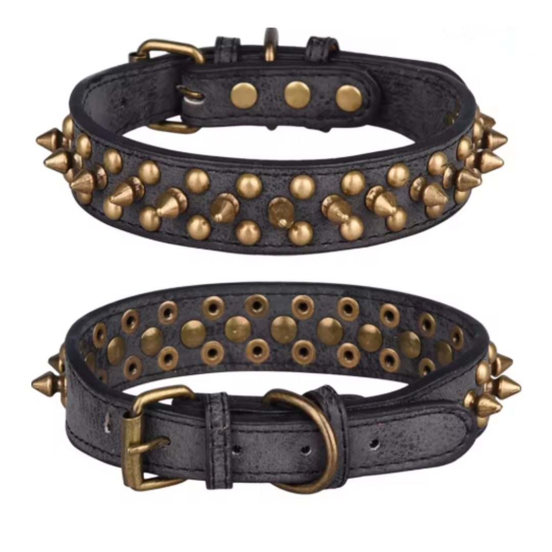 Halsband Studs | Premium