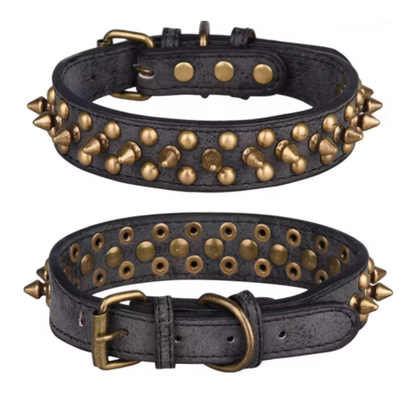 Halsband Studs | Premium