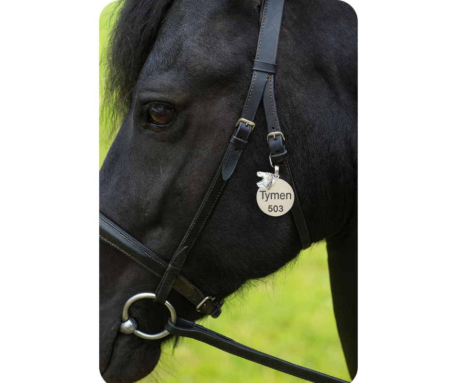 Paardenpenning rond