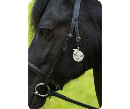 Paardenpenning rond