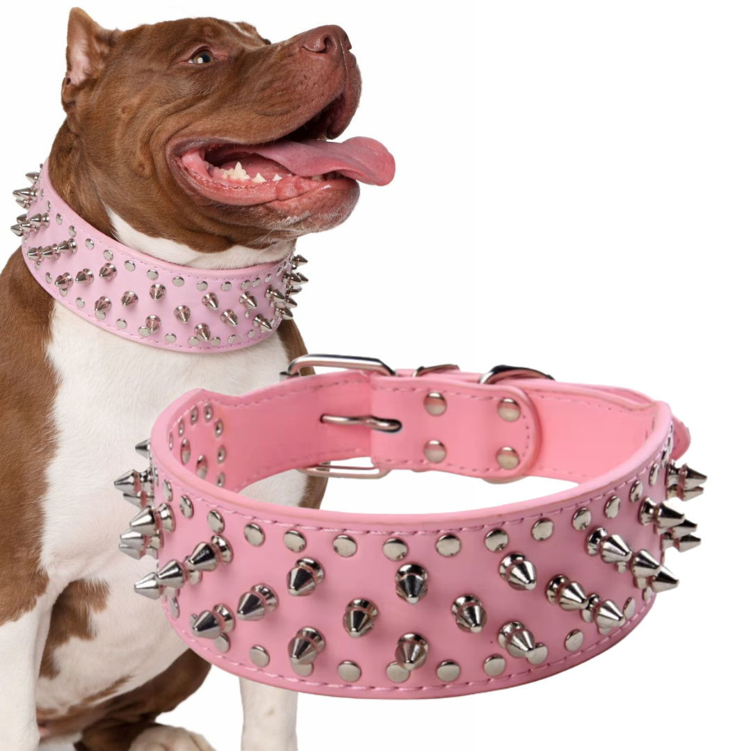 Halsband Spikes | Roze