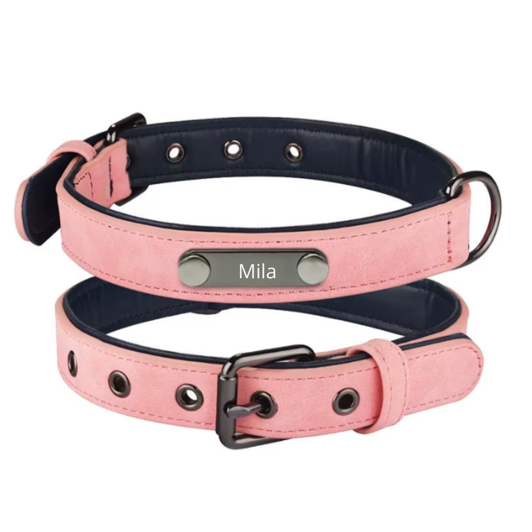 Halsband met naamplaatje | Roze