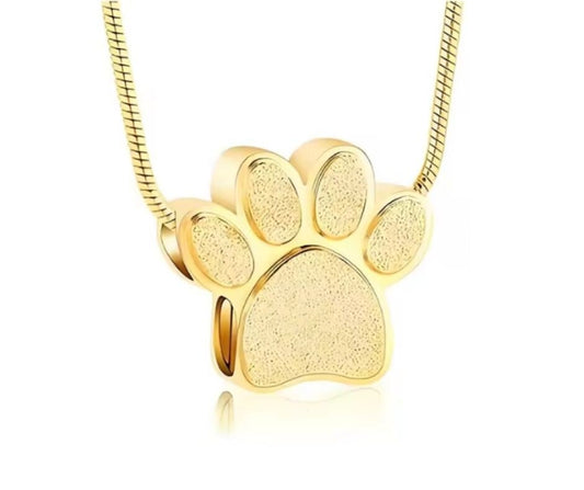 Ashanger Golden Spark☆