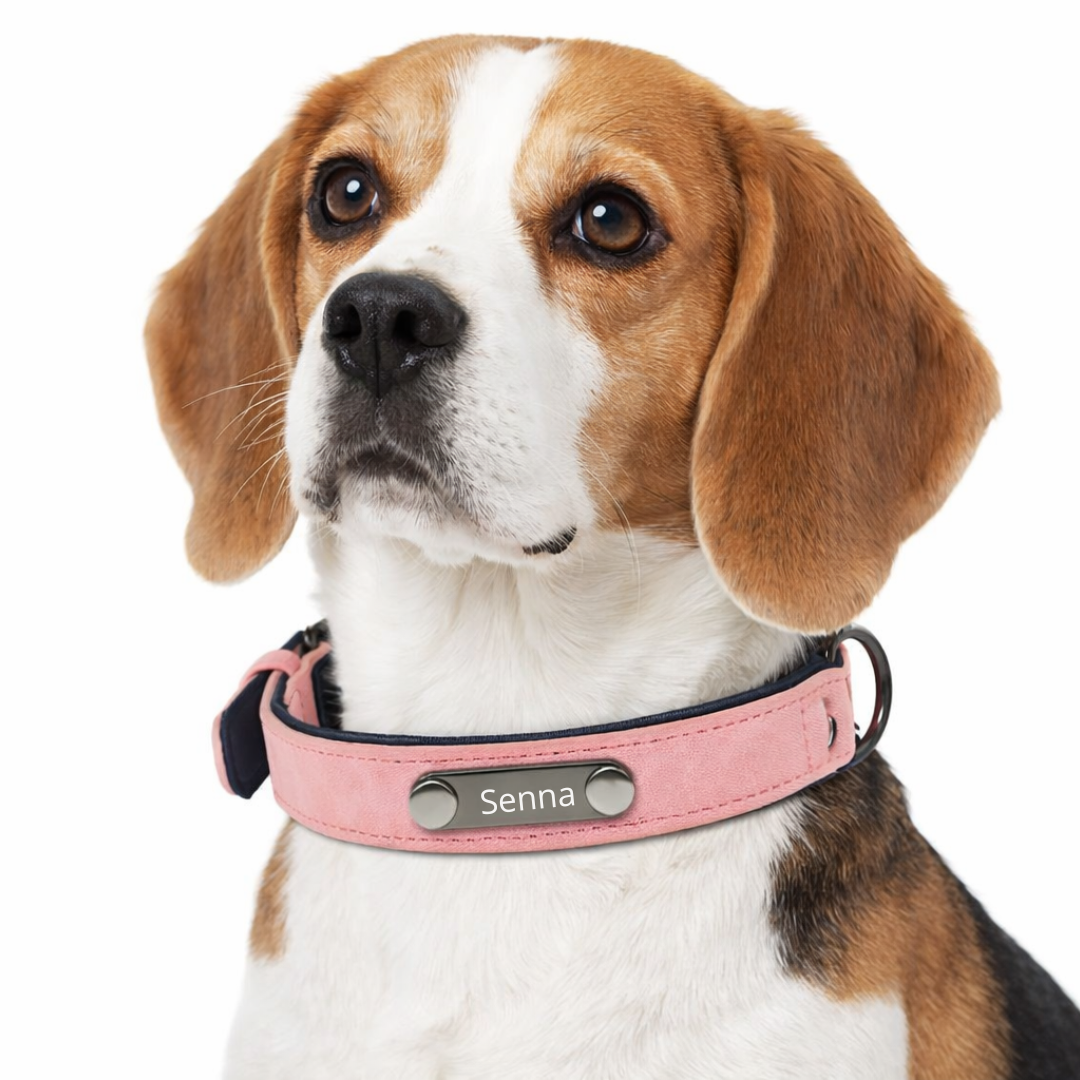 Halsband met naamplaatje | Roze
