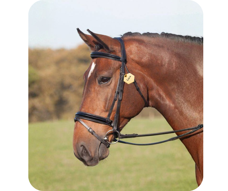 Zeshoek penning | Paarden