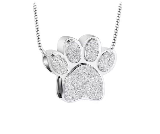 Ashanger Silver Spark☆