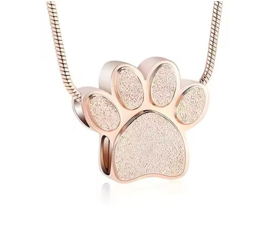 Ashanger Champagne Spark☆