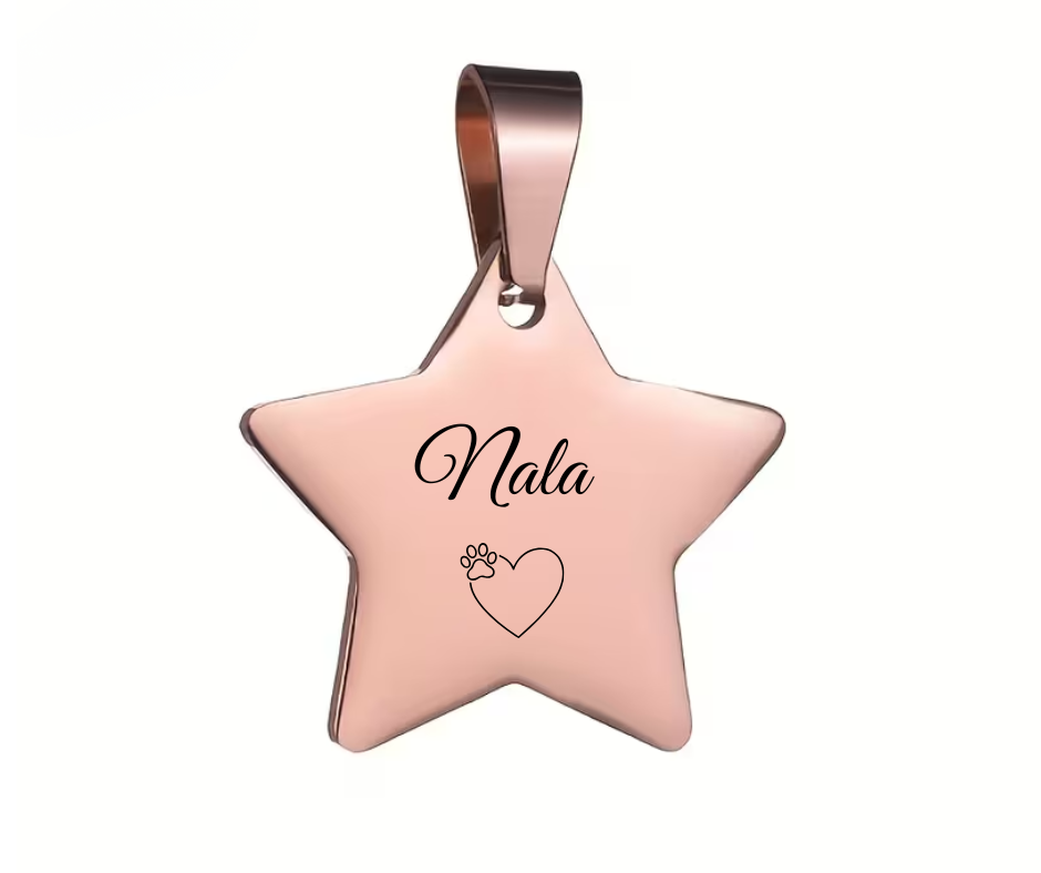 Hondenpenning Ster