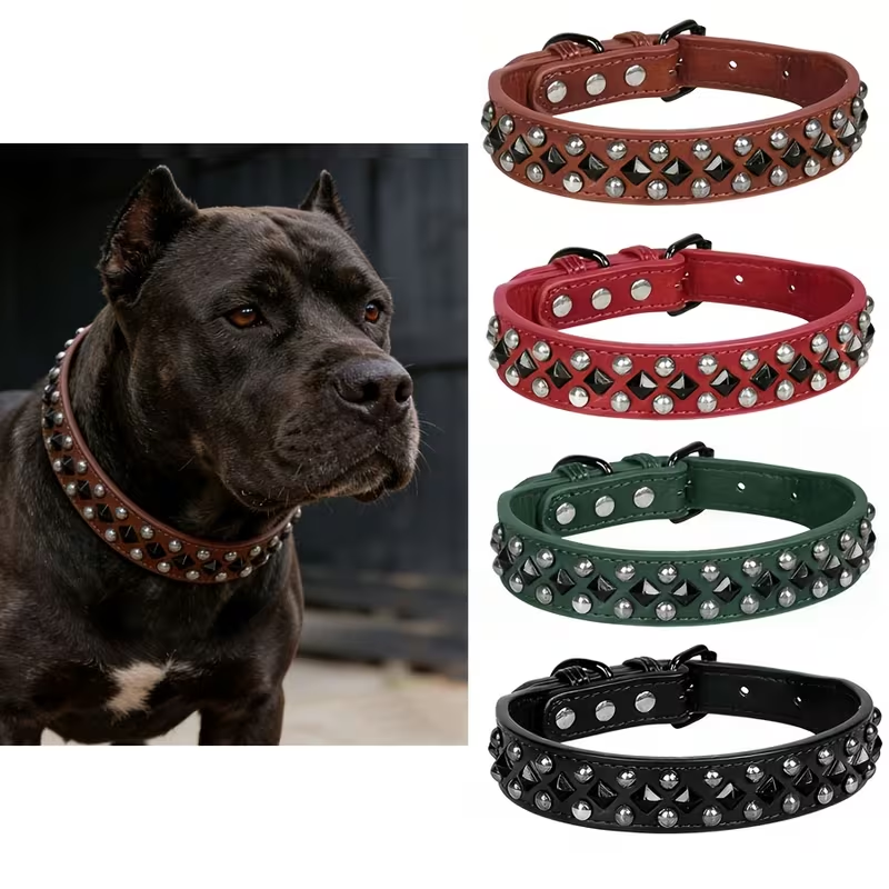 Halsband Maximus | Zwart