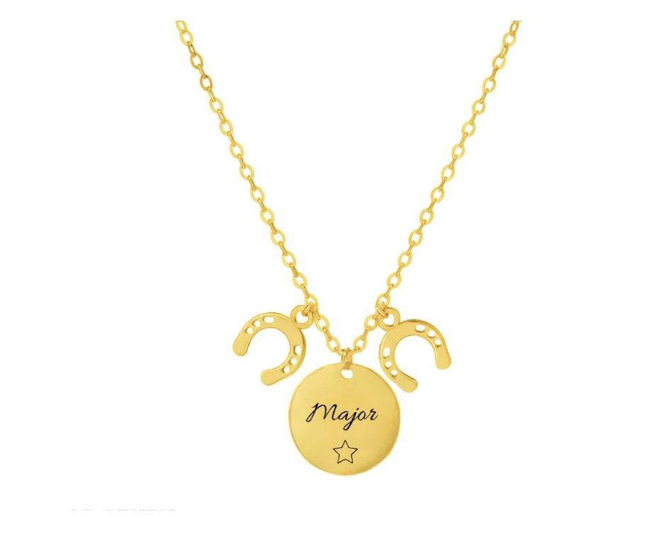 Hoefijzer ketting met naam