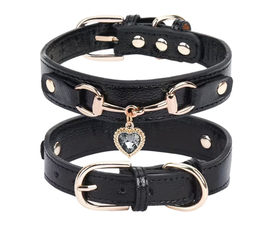 Halsband Bella Azure | Zwart