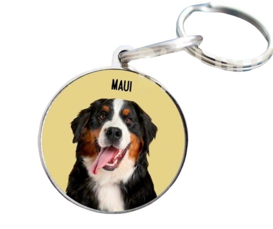 Sleutelhanger RVS rond