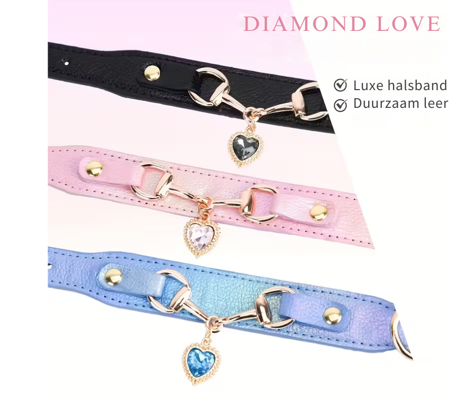 Halsband Bella Azure | Zwart