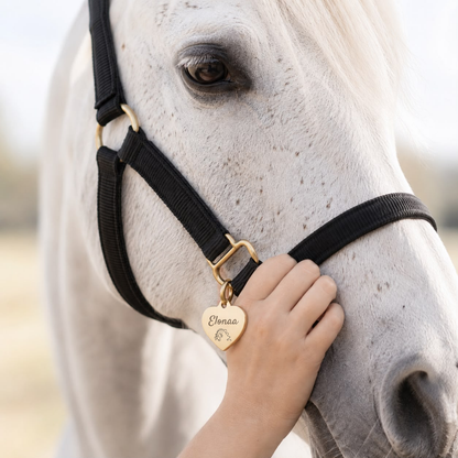 Paardenpenning | Spirit