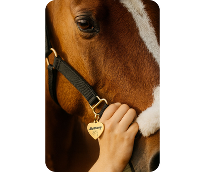 Paardenpenning hart