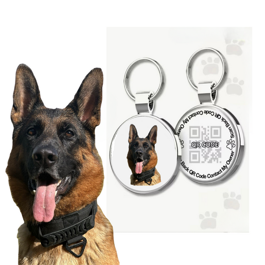 Hondenpenning | Foto en QR code Waterbestendig