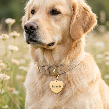 Dogtag | Golden Love