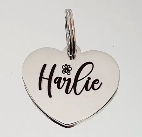 Hondenpenning Silver Love
