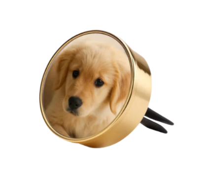 Autogeurtje met foto | Deluxe