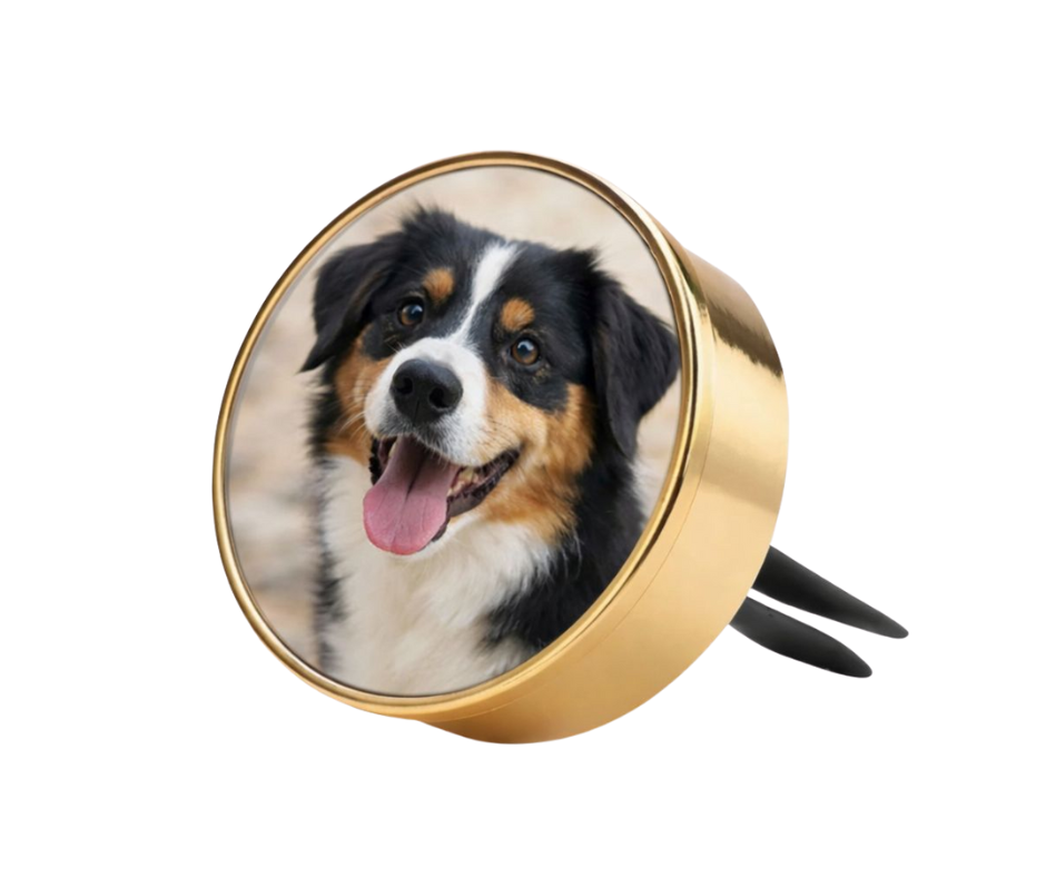 Autogeurtje met foto | Deluxe