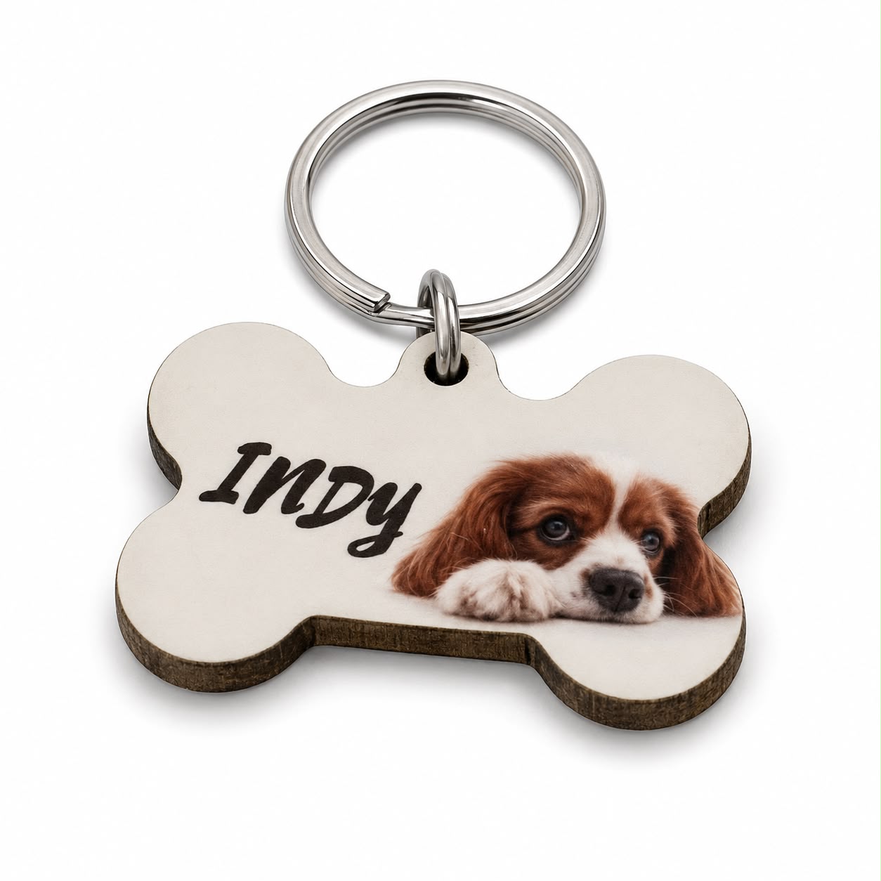 Dogtag | Lola