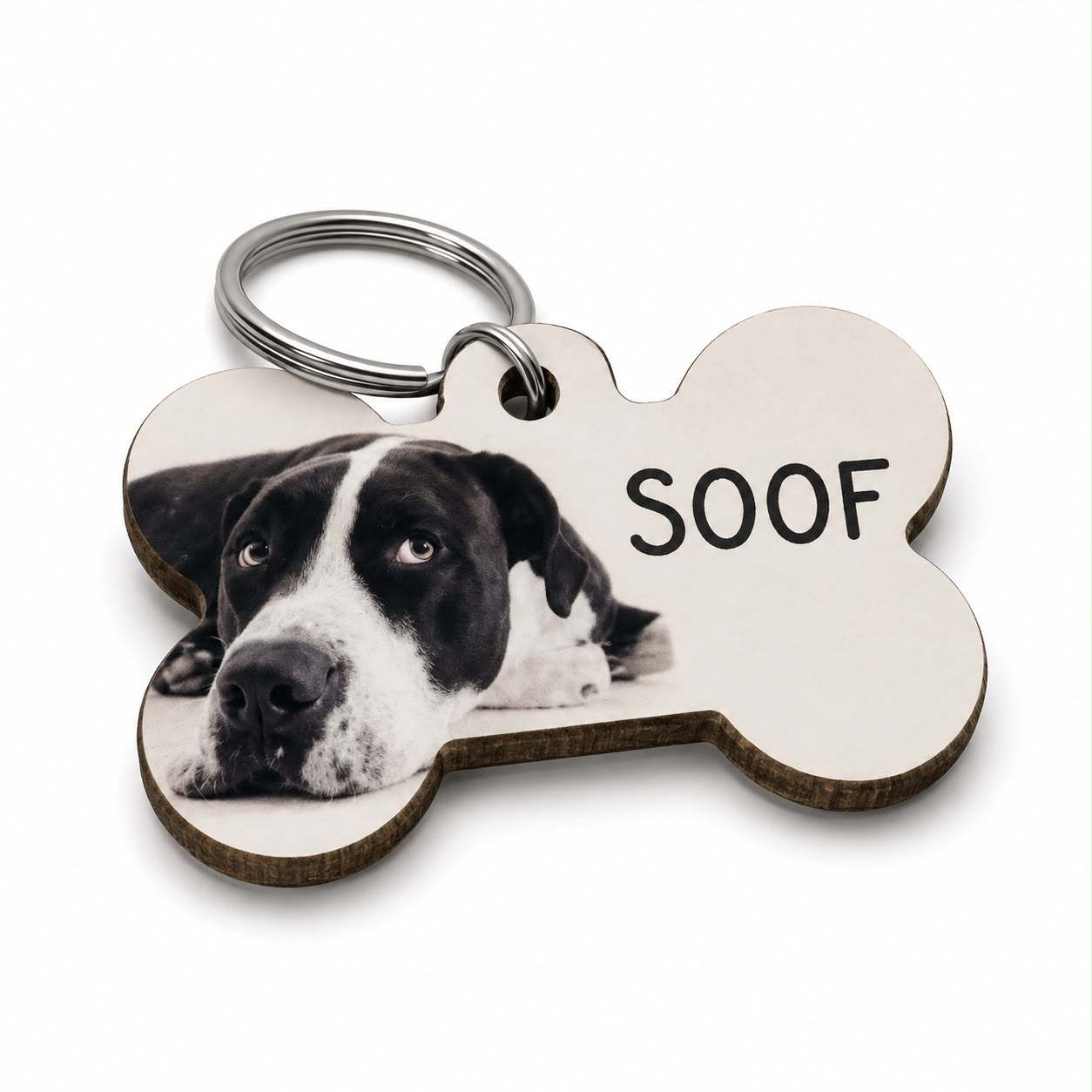 Dogtag | Lola