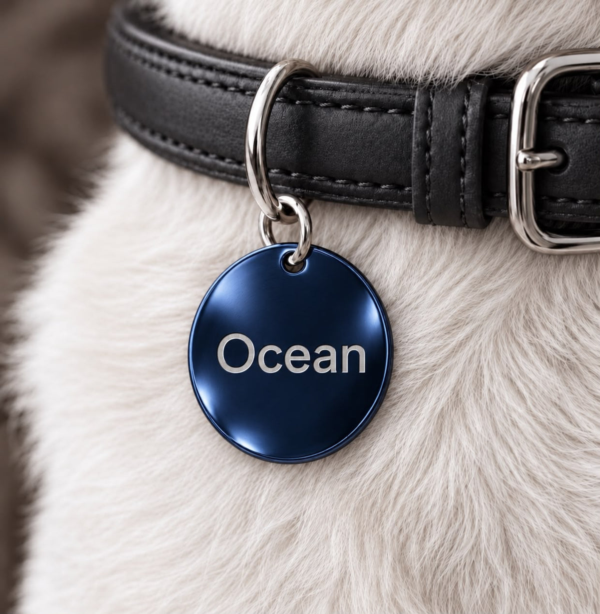 Dogtag | Ocean