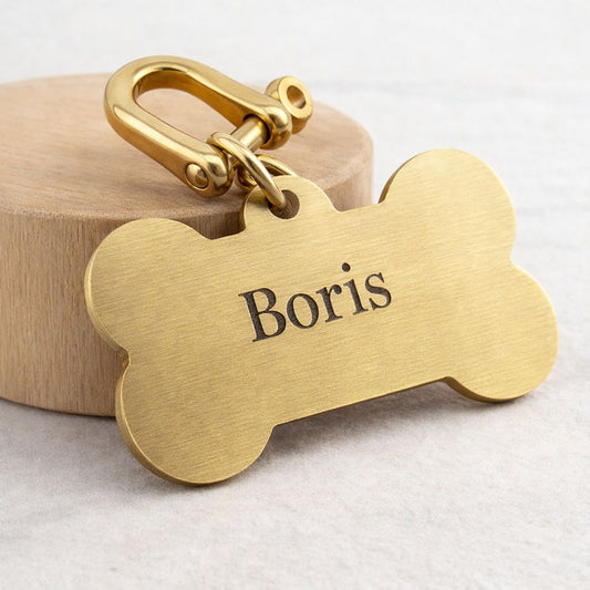 Hondenpenning Messing | botje