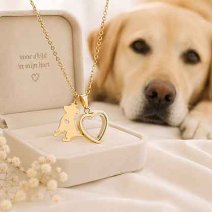 Ashanger a Dogs Memory | Goud