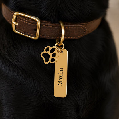 Dogtag | Maxim