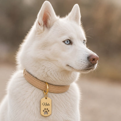 Dogtag | Ruby