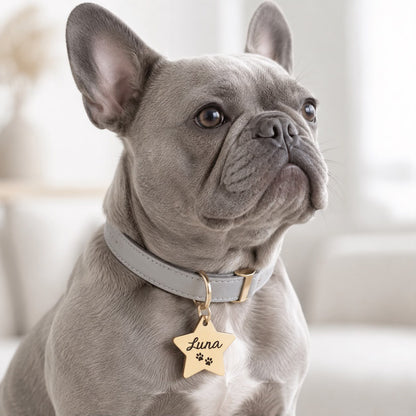 Dogtag | Star