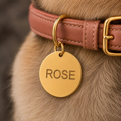 Dogtag | Tobey