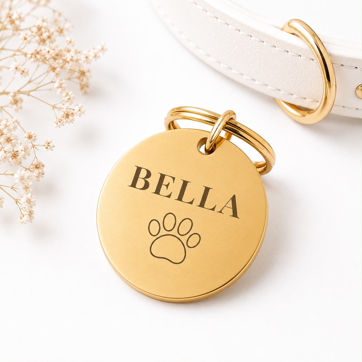 Dogtag | Nova
