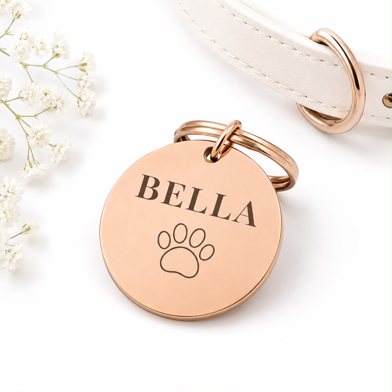 Dogtag | Nova
