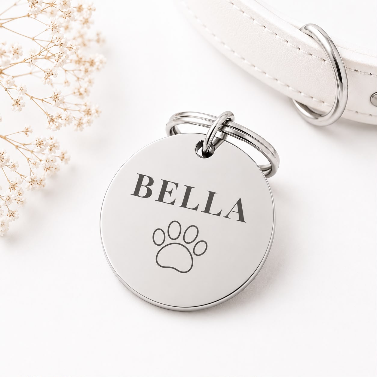 Dogtag | Nova