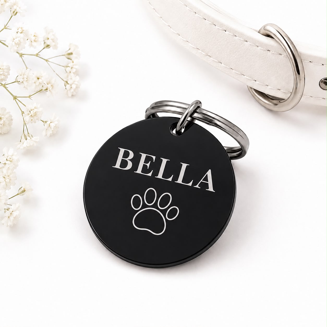 Dogtag | Nova