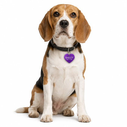 Dogtag | Bailey
