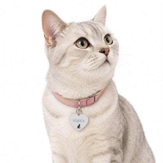 Kattenpenning | Simba