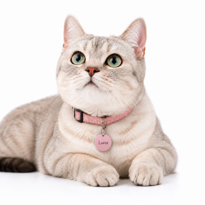 Dogtag | Kitty